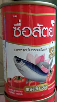 ປາຊາດີນໃນຊອສໝາກເລັ່ນ ຊື່ສັດ